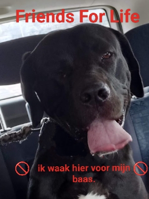 Trouble waakhond van friends for life